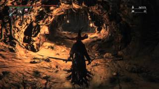 Bloodborne Beast-Possessed Soul Vs Scourge Beast