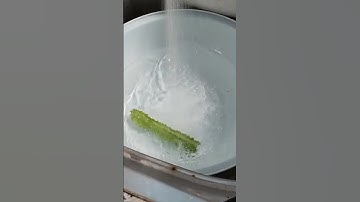 Cá rô phi kho tương hột