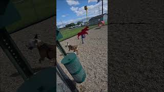 Just A Typical Day Of Trucking 04/30/2026 #dailyvlog #truckerlife #fredthetruckerdog #trucking #otr