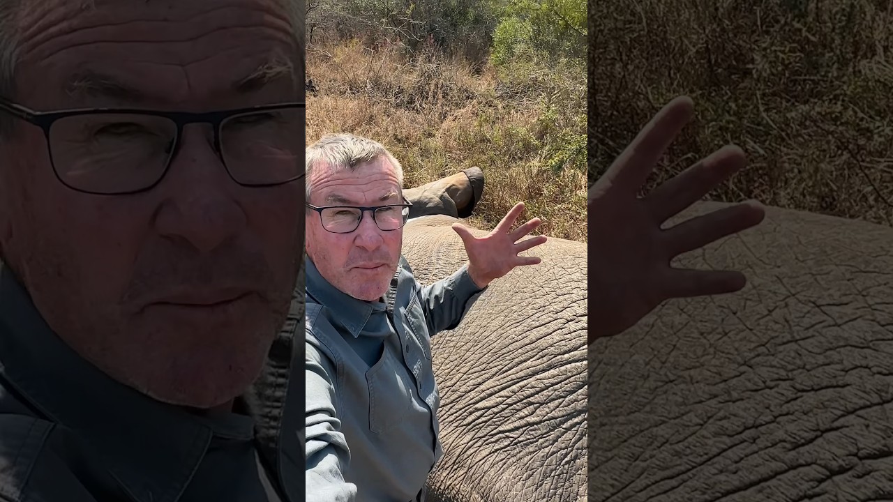 Getting really close to an animal allows you to see all of their adaptations!! 🐘🌍 