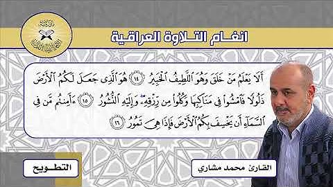 التطويح والبهيرزاوي والحياوي -  القارئ محمد مشاري