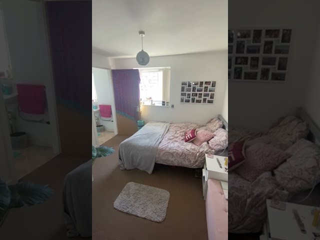 Video 1: View from the living room 
