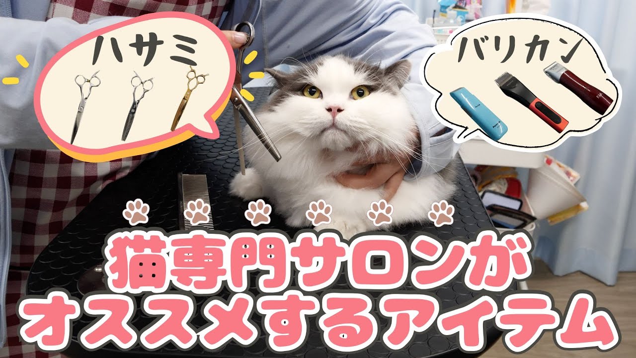 【バリカン・ハサミ編】猫専門サロンがオススメするアイテム