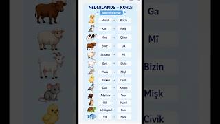 Vocabulary  Learn Dutch And Kurdish