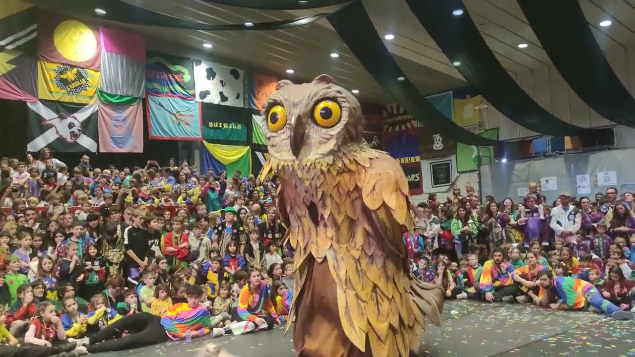 Ball D'assaig 2025! Ball del Xut