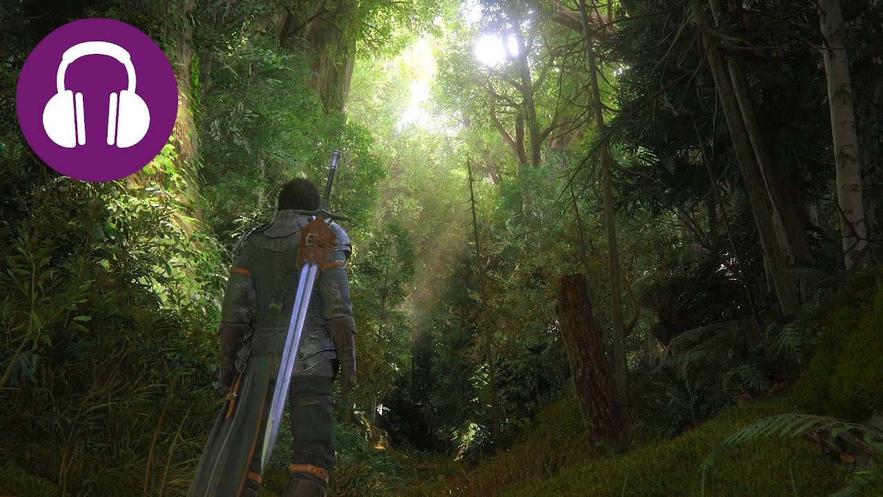[NO ADS] Peaceful MEDIEVAL FOREST Sounds 💤 Relaxing FINAL FANTASY 16 ...