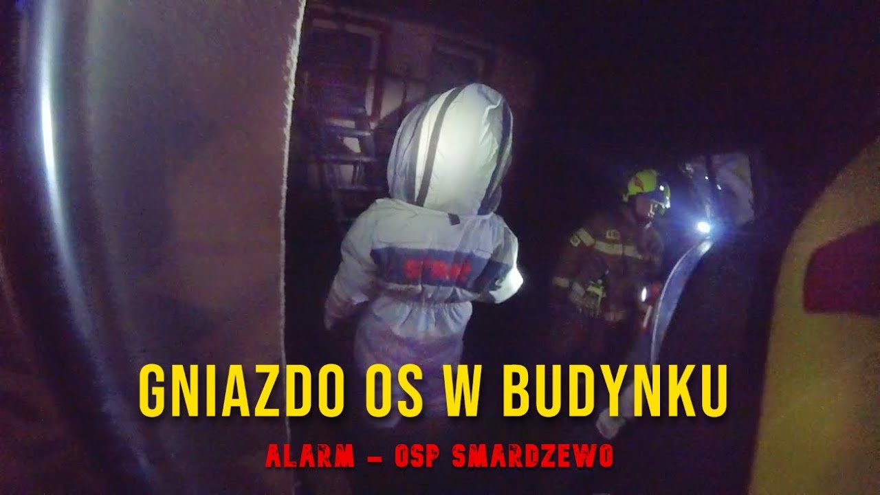 ALARM - OSP Smardzewo | #12 | Gniazdo owadów błonkoskrzydłych w budynku mieszkalnym