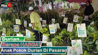 [ Durian ] Harga ANAK Pokok DURIAN D24, Musang King, Mothong, Cikgu Wi, D24, IOI, D13, ASFA 50 Lain2