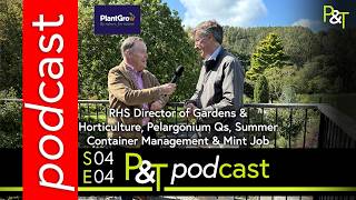 RHS Director of Gardens & Horticulture, Pelargonium Qs, Summer Container Management & Mint Job!