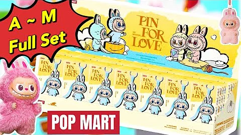  POP MART the monsters labubu pin for love  A M blind box FULL SET