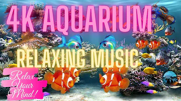 Relaxing Music with 4k Aquarium Screensaver for Relaxation. Spa Music Meditation Music, 4K UHD 🐠