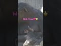 Chimpanzees Zoe and baby boy✨Milk time 😊🌼🌺❤️🩵