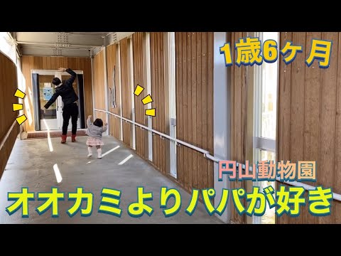 1歳6ヶ月 オオカミよりパパな雫ちゃん