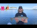 Trout fishing in the lake! +PB (Hardbody VS Winged Lures)