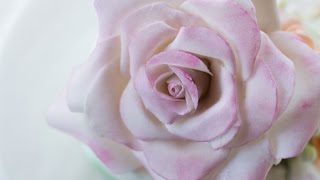 Как сделать розу из мастики Как сделать розу из мастики