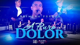 Primera Fuerza - A Puro Dolor (Video Oficial En Vivo)