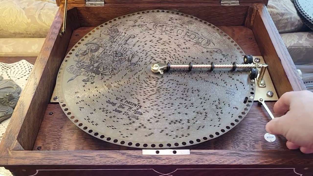 Oak Pinstripe Regina 15.5