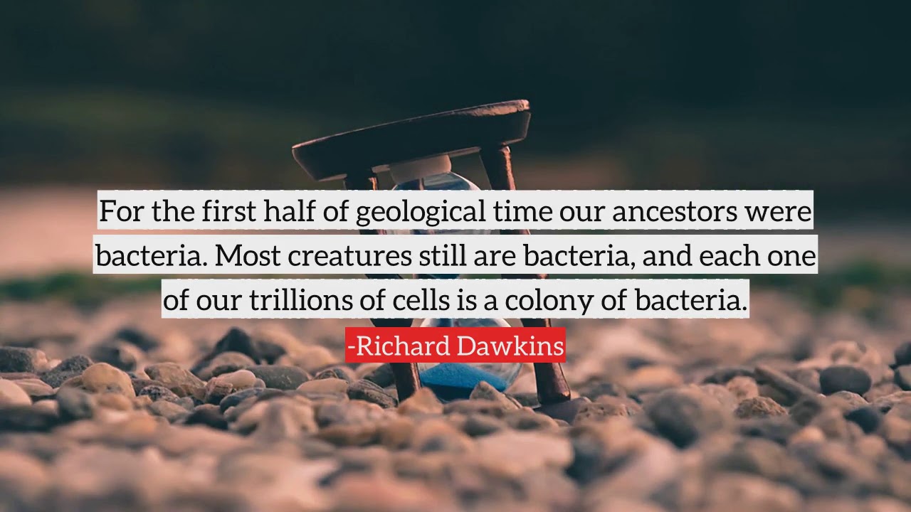 Richard Dawkins top Quotes, best quotes from Richard Dawkins - YouTube