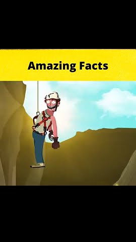 Facts story// Fact Hindi// Amazing facts//