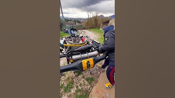 Shifter kart 125 2 stroke ASMR + cold start  #shorts