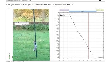 Digital image correlation CAN BE FUN TOO
