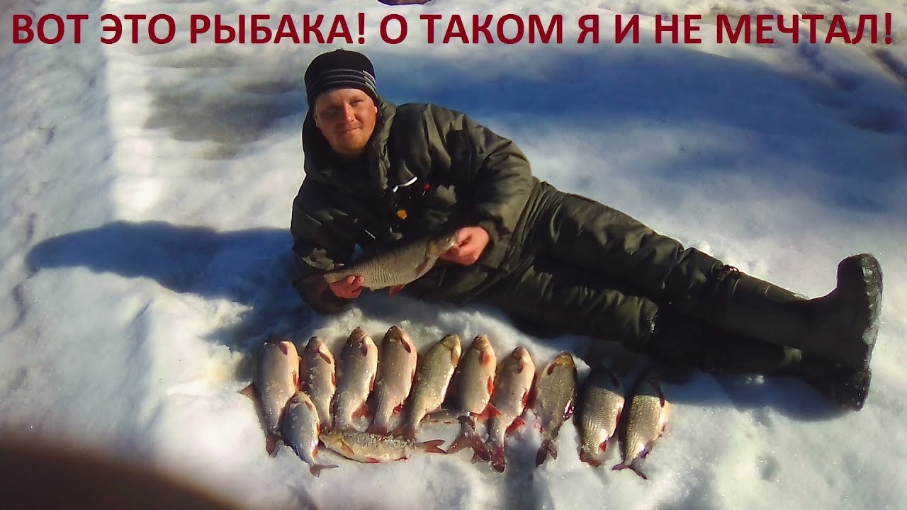 Рыбалка на средней волге