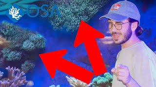 Grow THESE CORALS On Your BACK GLASS! screenshot 3