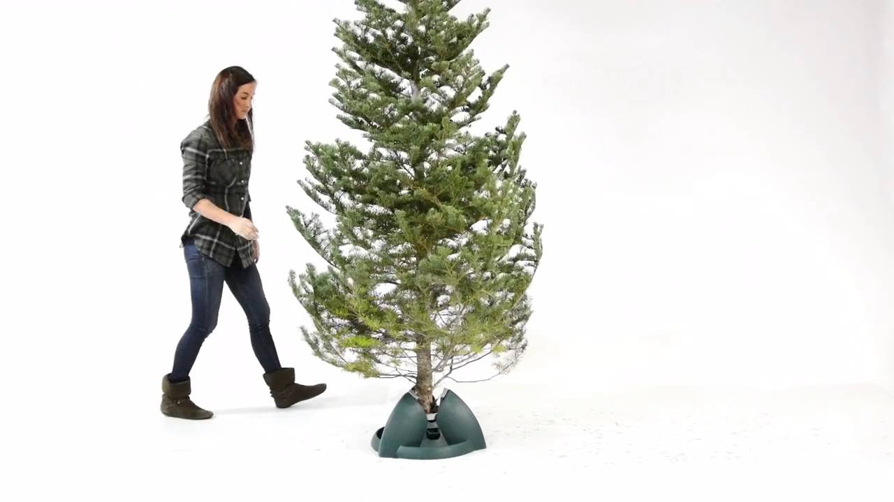 BLACK+DECKER Smart Tree Stand YouTube