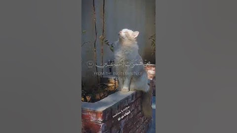 وقل رب أعوذ بك من همزات الشياطين تلآوة مبكية لفضيلة الشيخ عبدالباسط عبدالصمد من اخر سورة المؤمنون