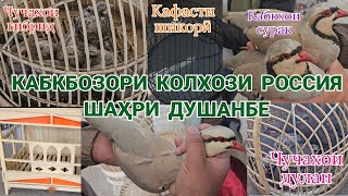 Кабкбозори Колхози Россия ш. Душанбе 17.03.2024