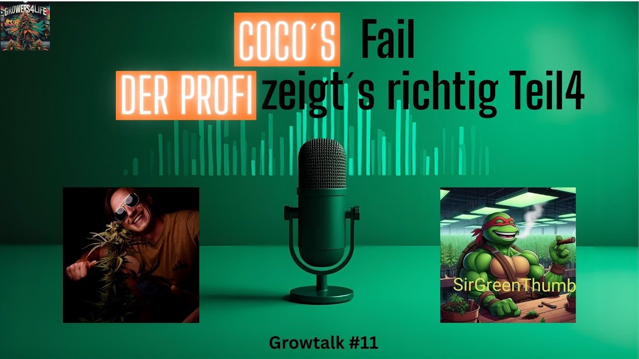 Growtalk #11Cocos – das unterschätzte Medium: Alles, was du wissen musst, bevor du’s versaust Teil 4