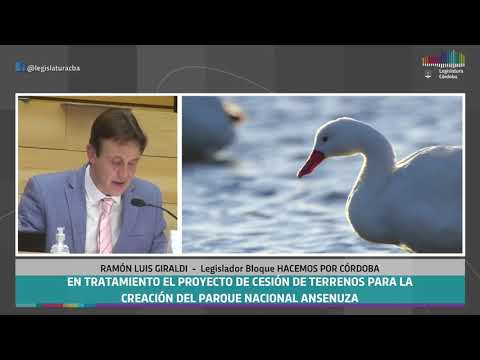 Intervencion del Legislador Ramon Giraldi