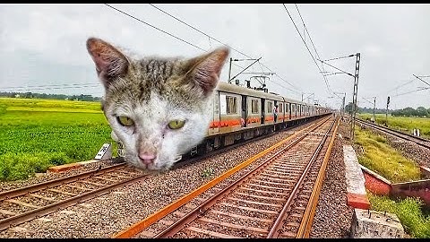 Angry CAT Headed BEML Train : BEML Train Arrived & Departure at Station