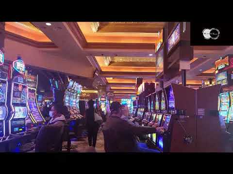 €10 000 Jackpot voor LEFTLANEPAPI! | Top Casino Winstmomenten! 24+
