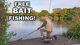 Free Bait finds the Fish!