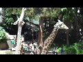 SURI EN EL ZOOLOGICO DE LOS ANGELES