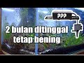 Aquarium jernih dengan filter murah | Rahasia top filter