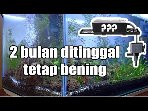 Video: Filter Apa Yang Harus Dimasukkan Ke Dalam Akuarium