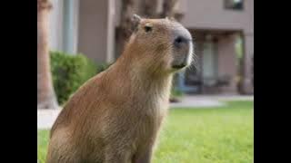 Ada Band - Surga Cinta (speedup version)