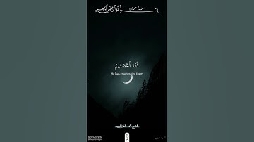 وقالوا اتخذ الرحمن ولدا | سورة مريم | محمد الغزالي #قرآن #اكسبلور #ذلك_الدين_القيم