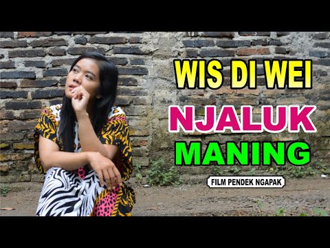 WIS DI WEI