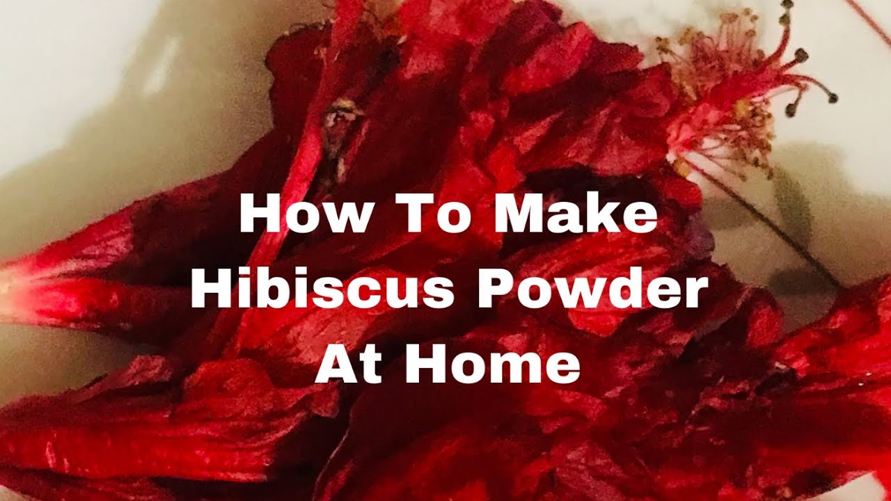 instant-diy-hibiscus-powder-how-to-make-hibiscus-powder-at-home-youtube