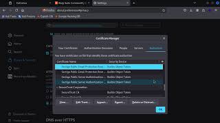 Delete Burp suite certificate from Firefox Linux