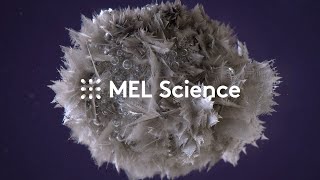 What is MEL Science?