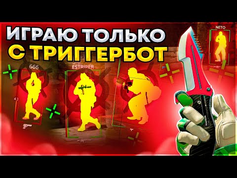 Видео: Только триггер Бот - До Глобала с Софтом. Читы на кс 2