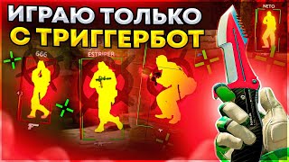 Только триггер Бот - До Глобала с Софтом. Читы на кс 2