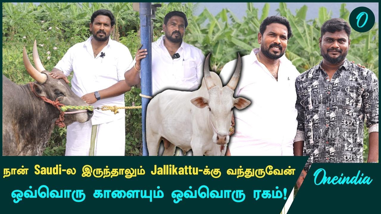 Jallikattu-ல் மிரட்டும் Sobanapuram Ananth அவர்களின் 12 காளைகள் | Jallikattu 2025 | OneIndia Tamil