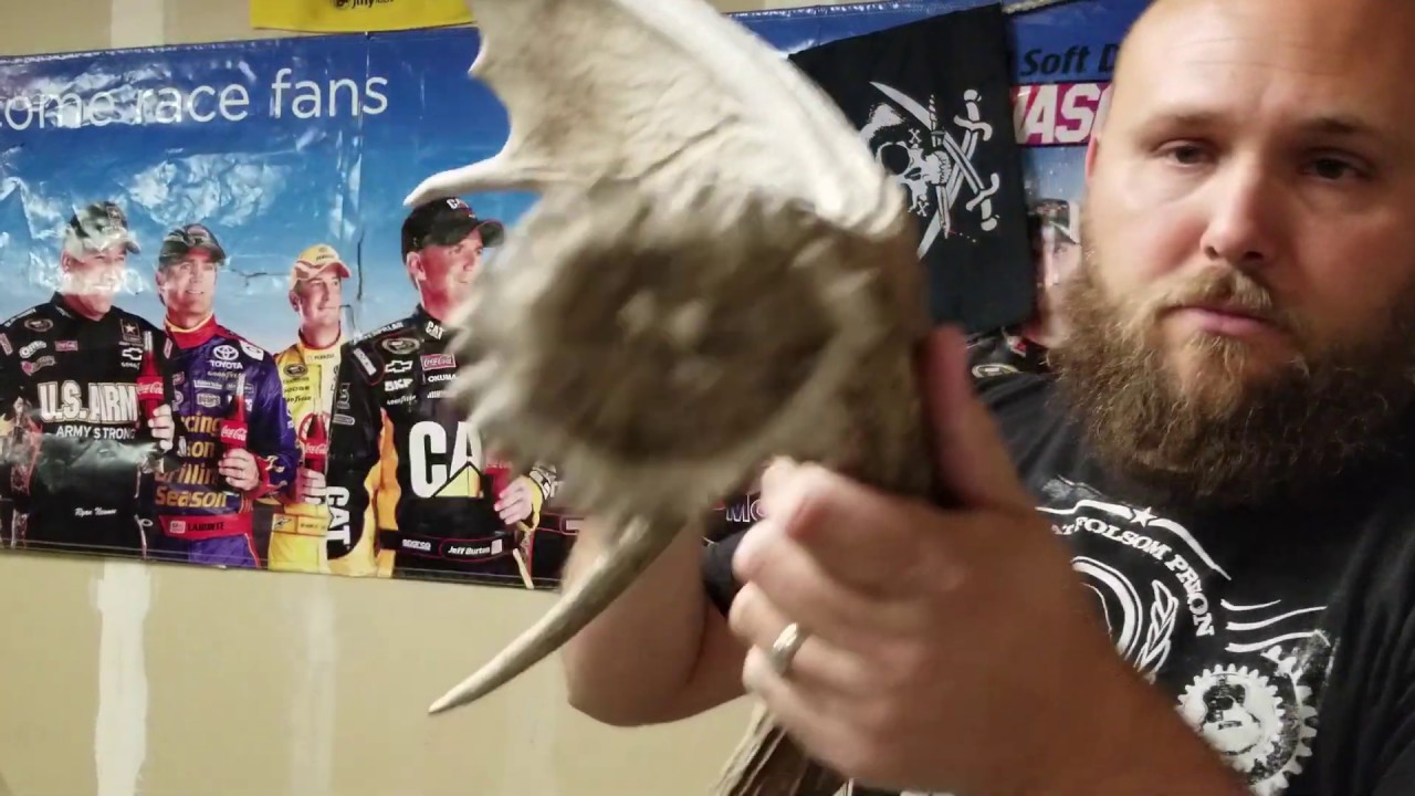 Shed hunting Utah spring 2020 YouTube