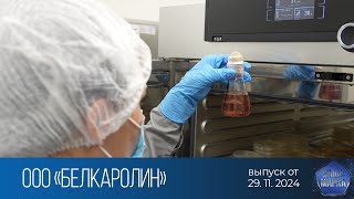 :  .   (29.11.2024)