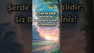 Allah’ın Sırrı : Hayırda Şer, Şerde Hayır Gizlidir: Siz Bilemezsiniz!-Şeyh Ahmed El Kadiri#hayır#şer